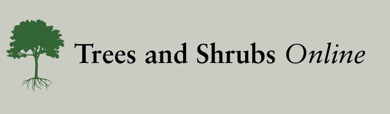 Trees and Shrubs Online Logo